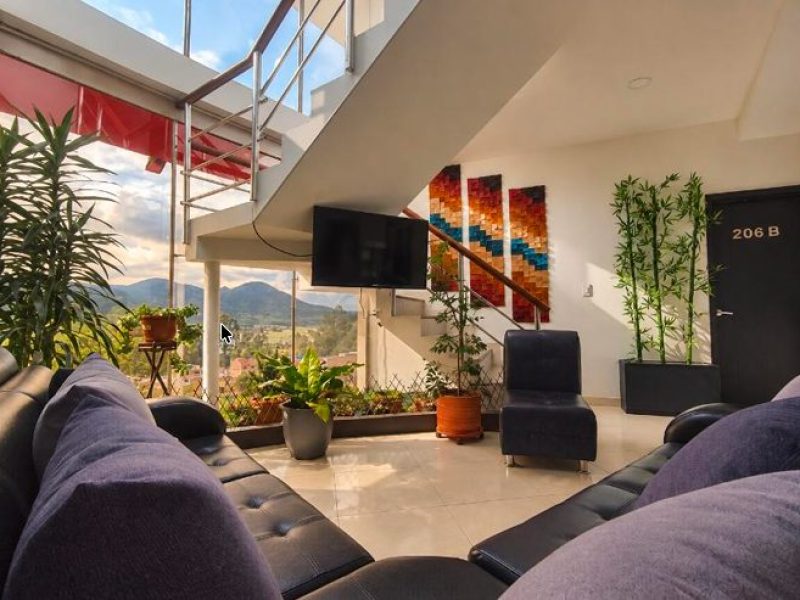 Sala de espera con sofás, plantas y ventanal