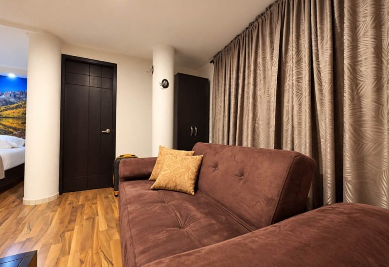 Sofá marrón con cojines en la sala de una suite