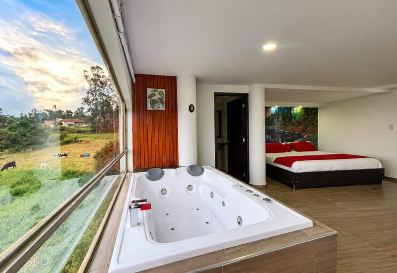 Jacuzzi junto al ventanal con la cama al fondo