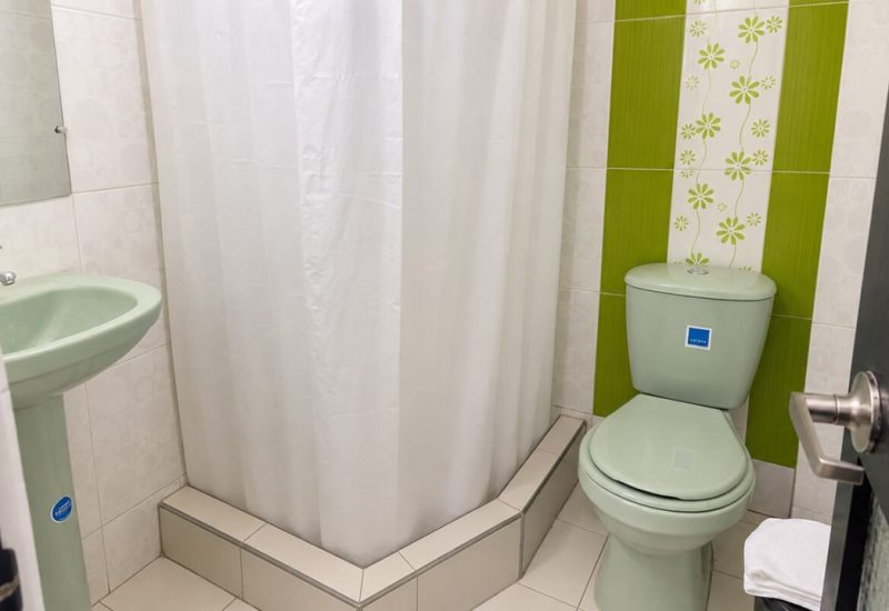 Baño con ducha de cortina y pared de cerámica verde