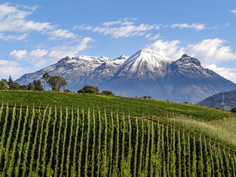 Volcán Nevado de Cumbal sobre campos de cultivo